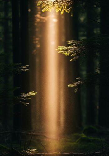 From Within