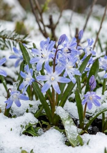 Build It, and They Will Come (Eventually)