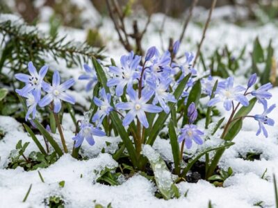 Build It, and They Will Come (Eventually)